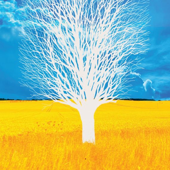 2 Smrt ni moja zadnja beseda izrez drevesa