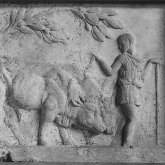 15. Grosljev simpozij