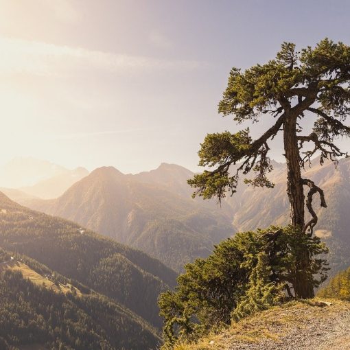 Gore foto Gotan81 Pixabay