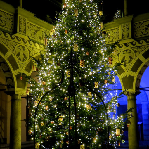 Decembrska Ljubljana 2024 2 foto Vinko Avsenak prikazna