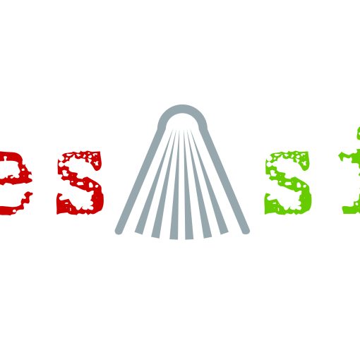 Logo esAsi jpg