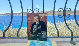 Poletni oddih pisarne DSKP 1 Poletna pasica za DSKP sirok zaslon