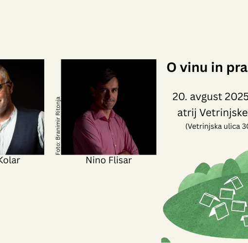 Boris in Nino spletna