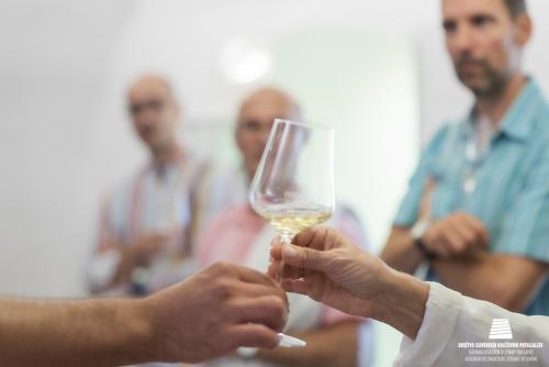 08Avg18 Mednarodni-prevajalski-seminar Foto-Nina-Medved splet-17