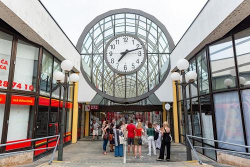 2024 06Jun21 5 Mednarodni prevajalski seminar Foto Nina Medved splet 46