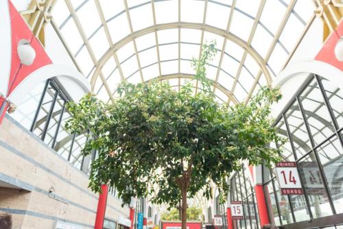 2024 06Jun21 5 Mednarodni prevajalski seminar Foto Nina Medved splet 51