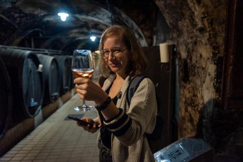 Prevajalski-seminar 5 19-avgust-2022 Foto-Nina-Medved splet-30