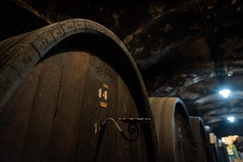 Prevajalski-seminar 5 19-avgust-2022 Foto-Nina-Medved splet-32