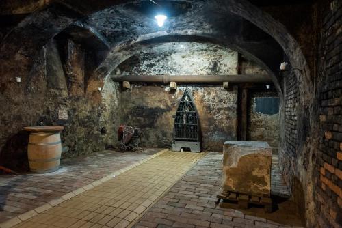 Prevajalski-seminar 5 19-avgust-2022 Foto-Nina-Medved splet-34