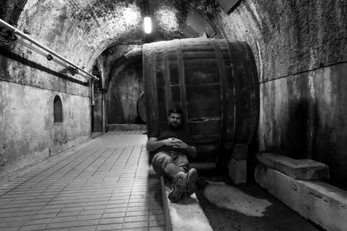 Prevajalski-seminar 5 19-avgust-2022 Foto-Nina-Medved splet-43