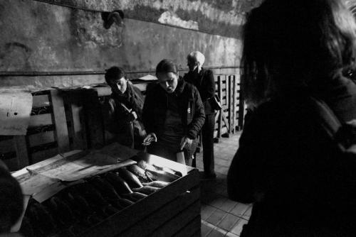 Prevajalski-seminar 5 19-avgust-2022 Foto-Nina-Medved splet-44