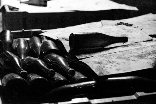 Prevajalski-seminar 5 19-avgust-2022 Foto-Nina-Medved splet-45