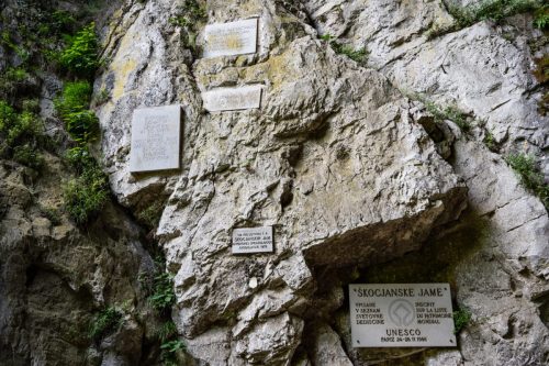 kras prevajalci 47